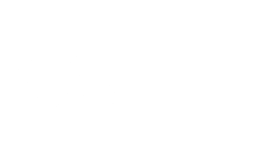 Valor Implant